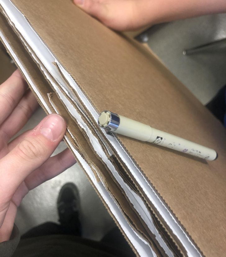 Illustration de l'article : 19 cool coincidences caught on camera