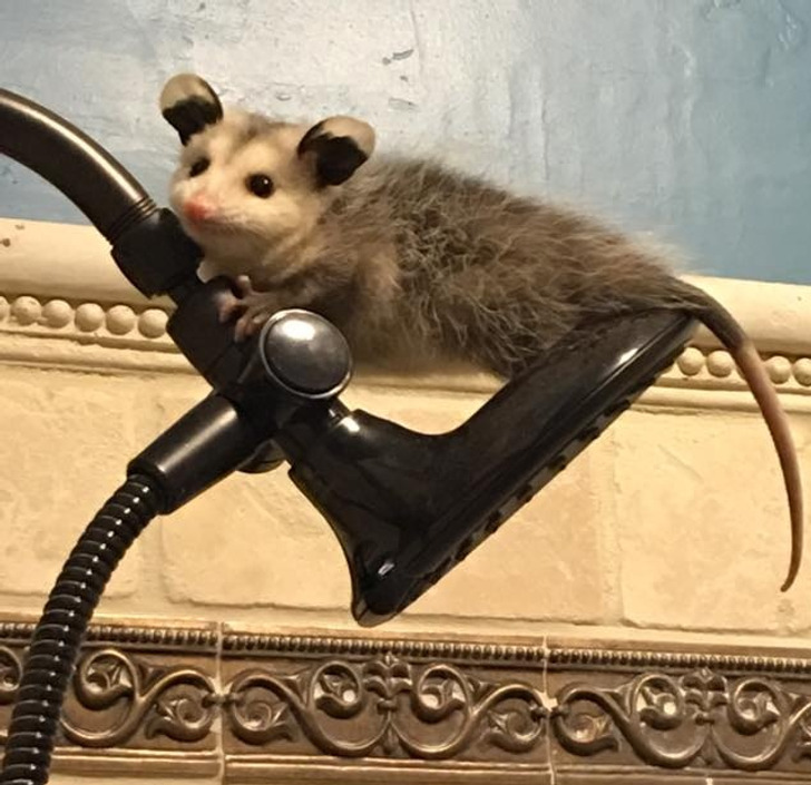 Illustration de l'article : 20 people who snapped and shared a moment of happiness