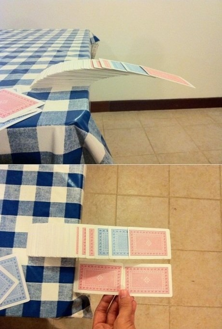 Illustration de l'article : 20 photos snapped at exactly the right moment