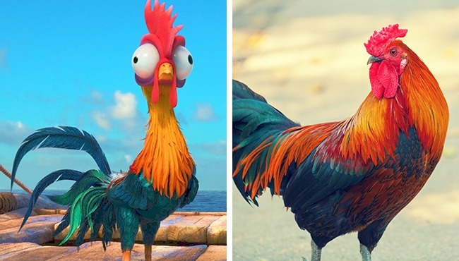 Illustration de l'article : 14 animals that are the exact copies of our favorite cartoon characters