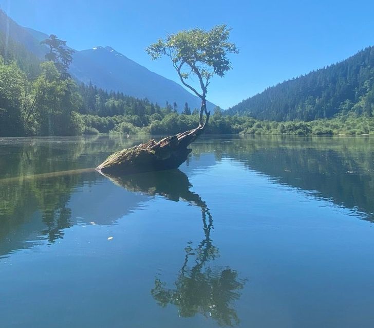 Illustration de l'article : 19 photos that illustrate the beauty of nature