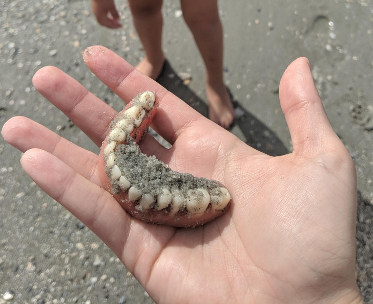 Illustration de l'article : 20 photos of unexpected treasures