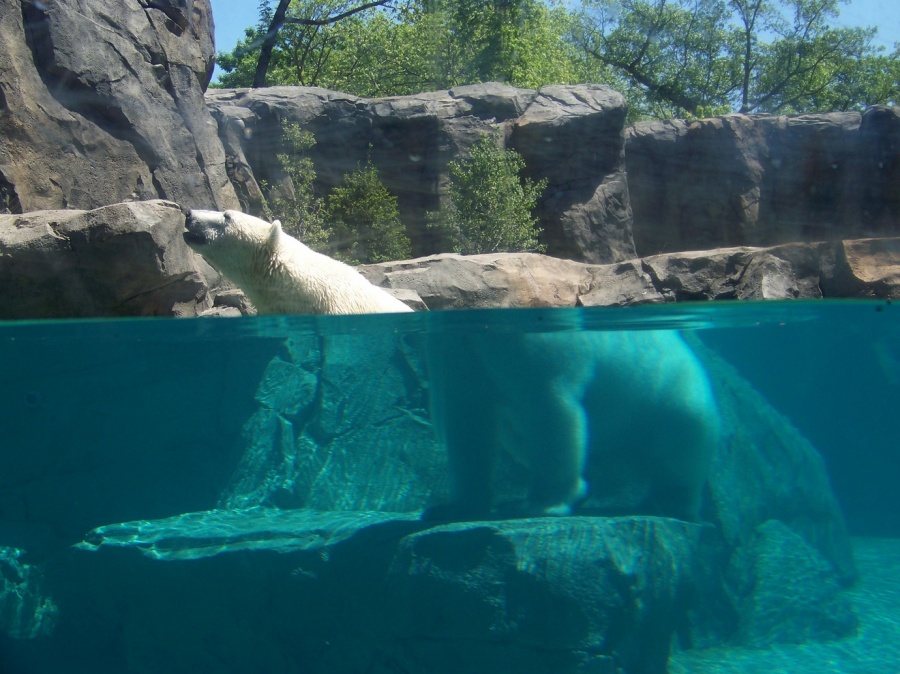 Illustration de l'article : 25 photos you’ll have to look at twice to understand
