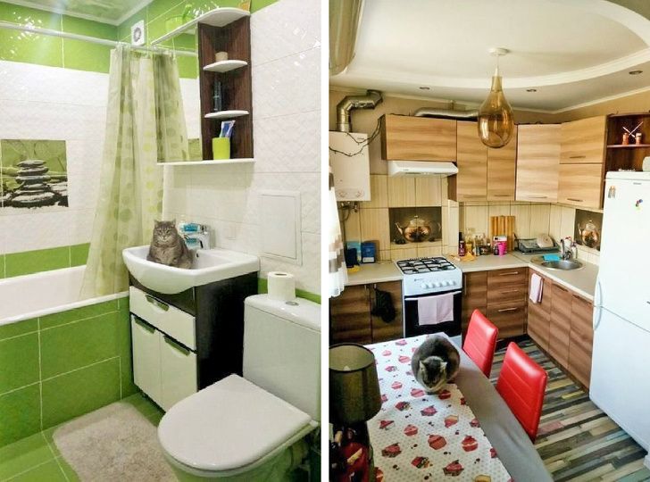 Illustration de l'article : 18 interesting things people discovered in houses