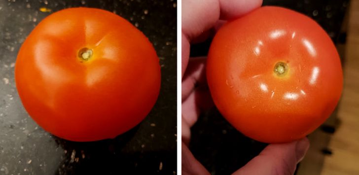 Illustration de l'article : 19 photos that illustrate the beauty of nature