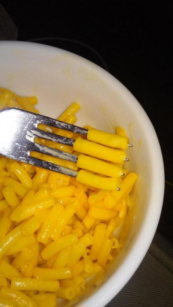 Illustration de l'article : 19 photos that show that being perfect is entirely possible