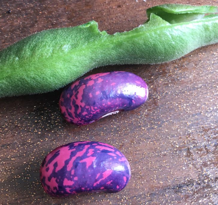 Illustration de l'article : 16 photos that illustrate the beauty and originality of nature