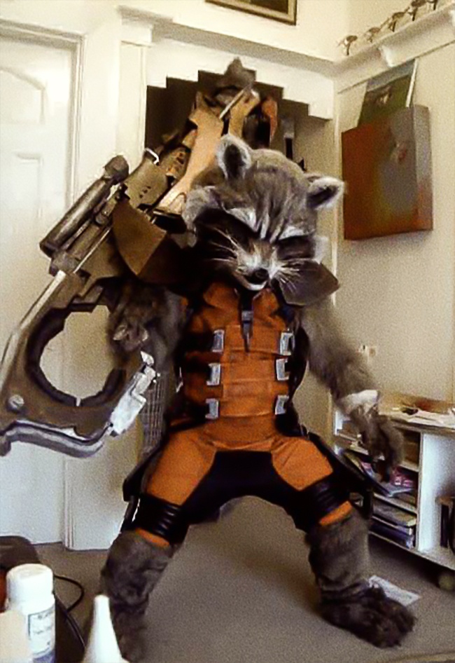 Illustration de l'article : 20 cosplay fans show off their awesome creations