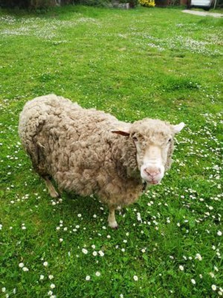 Illustration de l'article : 20 people who returned home with an unforgettable memory of their vacation