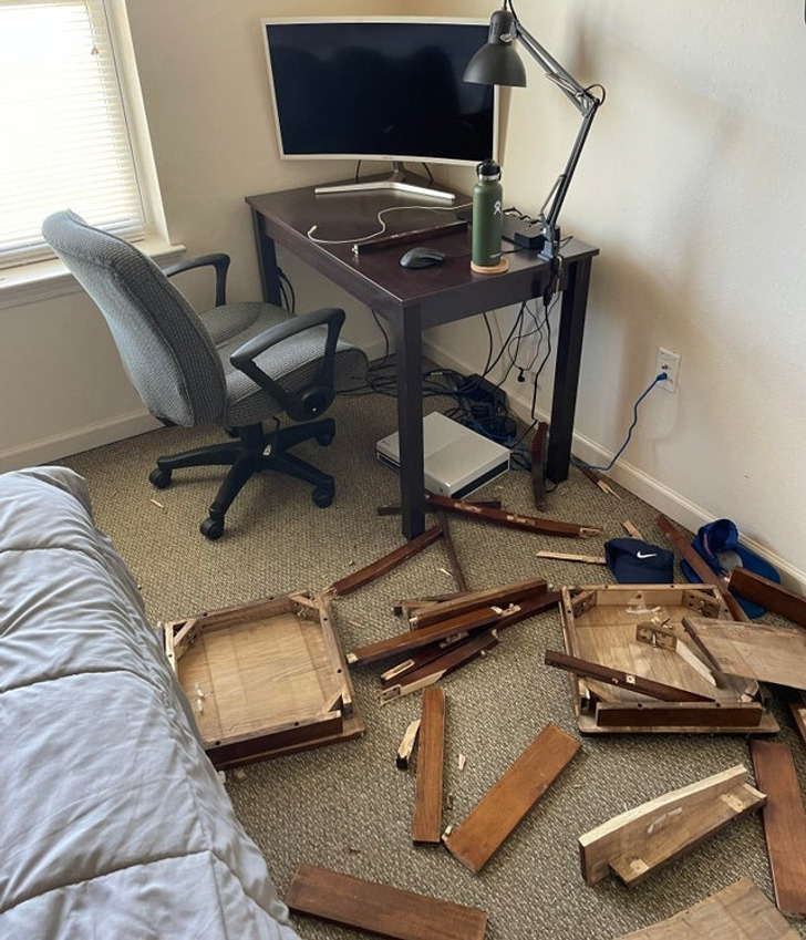 Illustration de l'article : 18 people who bring meaning to "having a bad day"