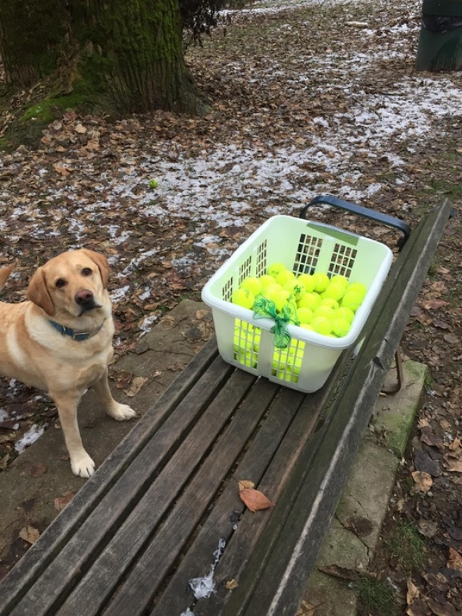 Illustration de l'article : 28 heart-warming acts of kindness that will restore your faith in humanity