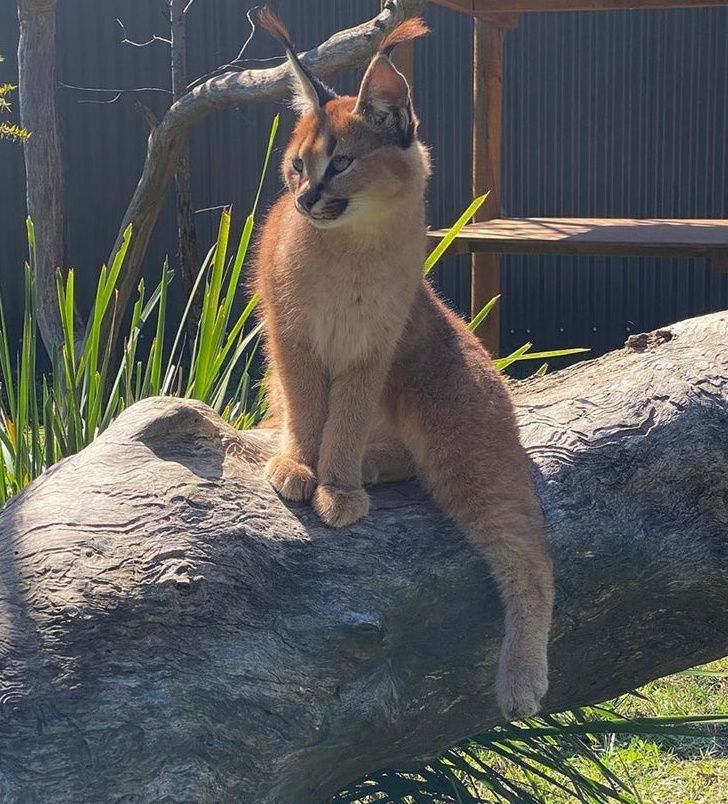 Illustration de l'article : 19 photos that illustrate the beauty of nature