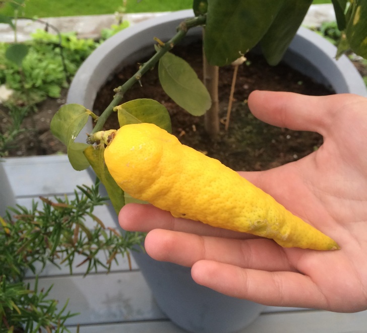 Illustration de l'article : 20 photos snapped at exactly the right moment