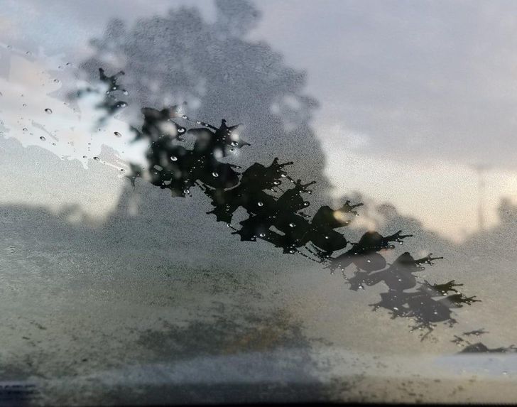 Illustration de l'article : 19 times when someone came across something weird