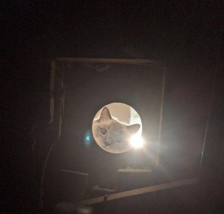 Illustration de l'article : 20 fascinating photos that provide an insight into different professions