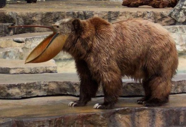 Illustration de l'article :  30 Photoshop fails! Which one is the funniest?