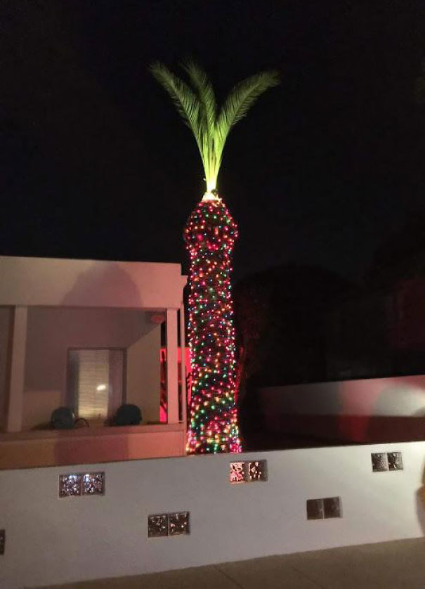 Illustration de l'article : 30 residents who decided to spice up their neighborhood