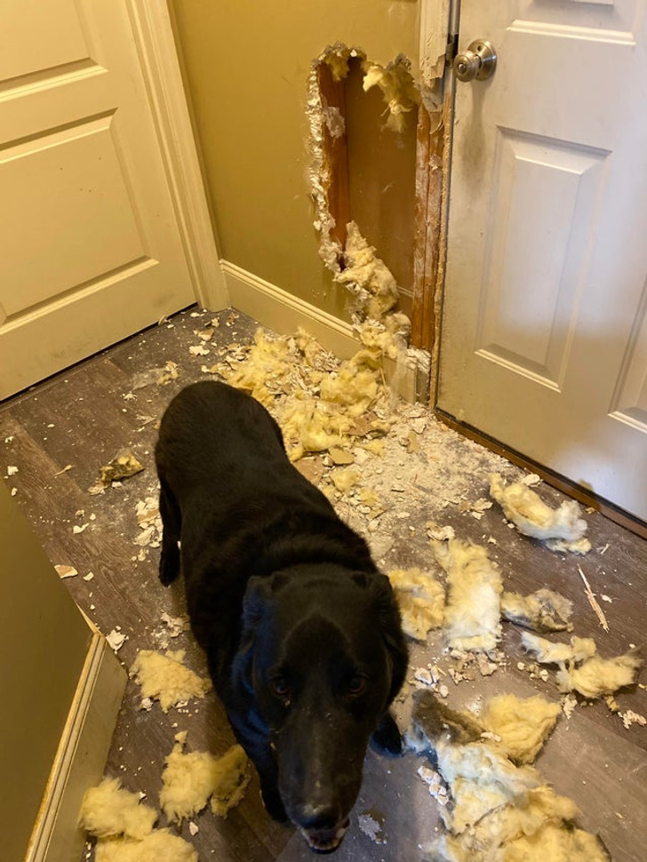 Illustration de l'article : 18 people who bring meaning to "having a bad day"