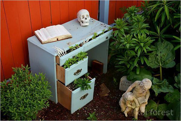 Illustration de l'article : 15 photos of the world's most dangerous garden