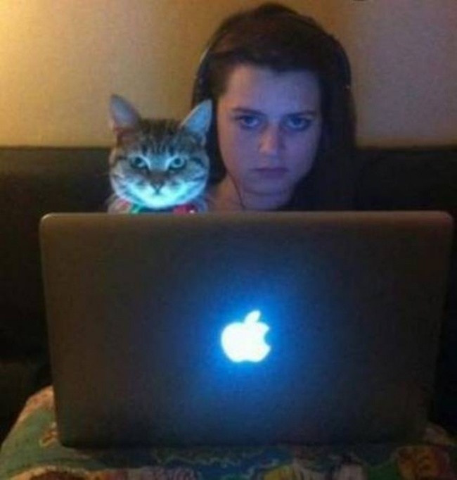 Illustration de l'article : 25 cute pets snapped mimicking their owners