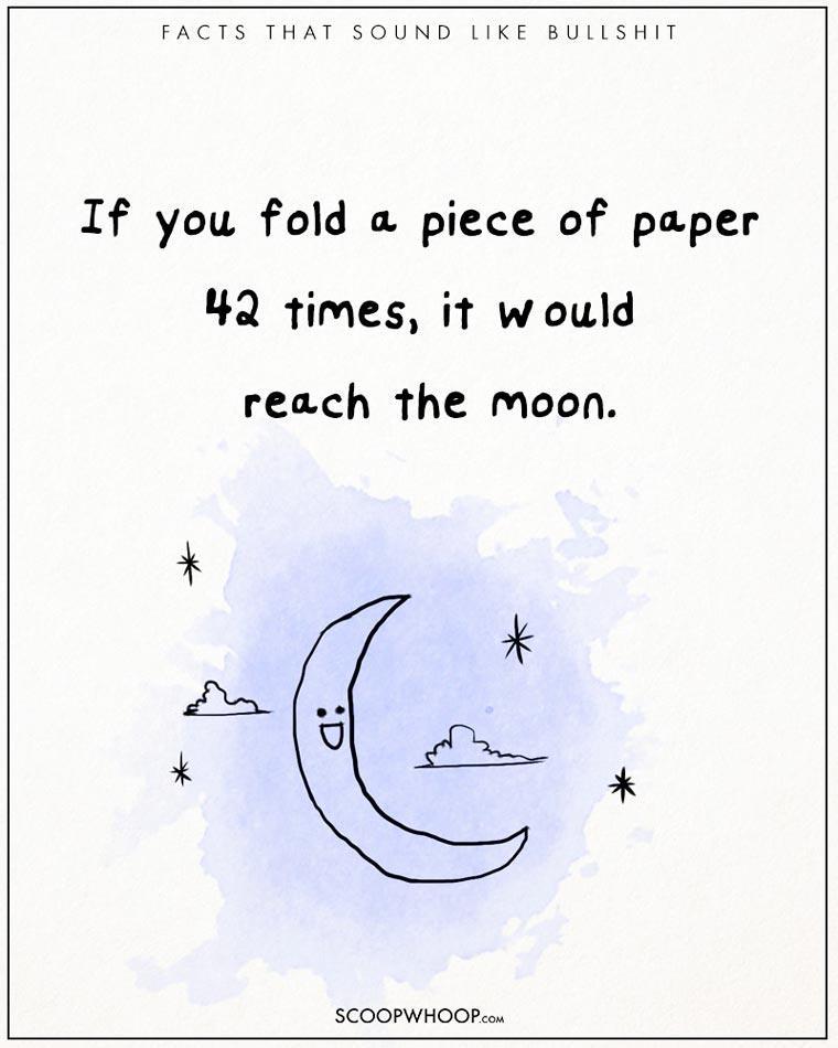 Illustration de l'article : 22 crazy but totally true facts illustrated with drawings!