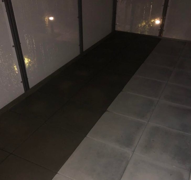 Illustration de l'article : 19 photos that will soothe the fussiest of people