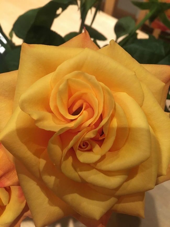 Illustration de l'article : Check out these 24 unnerving optical illusions