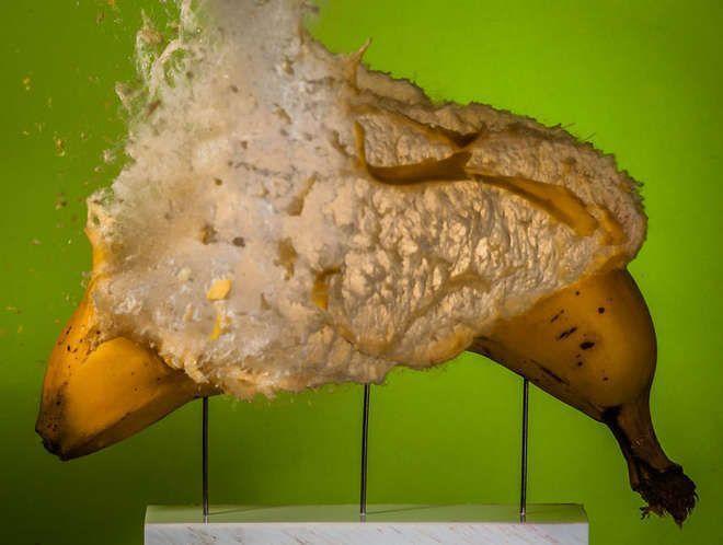 Illustration de l'article : 12 pictures of everyday objects that were taken during a bullet impact!