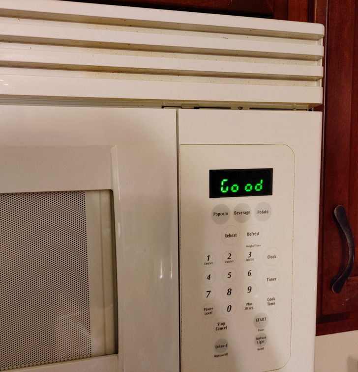 Illustration de l'article : 20 designers whose creative genius knows no bounds