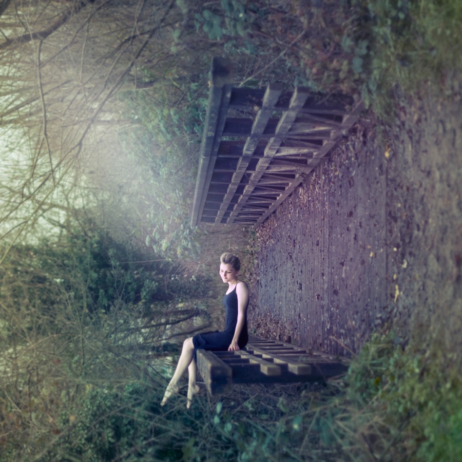 Illustration de l'article : 25 photos you’ll have to look at twice to understand
