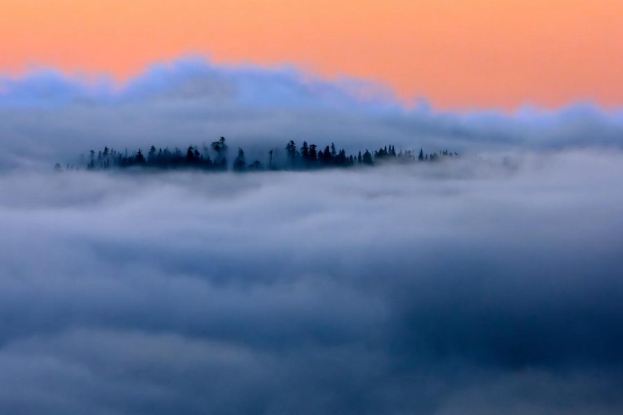 Illustration de l'article : 25 photos you’ll have to look at twice to understand