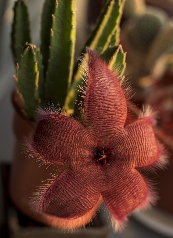 Illustration de l'article : 20 incredible photos shot by amateurs