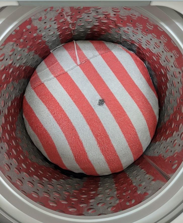 Illustration de l'article : 19 photos that will soothe the fussiest of people