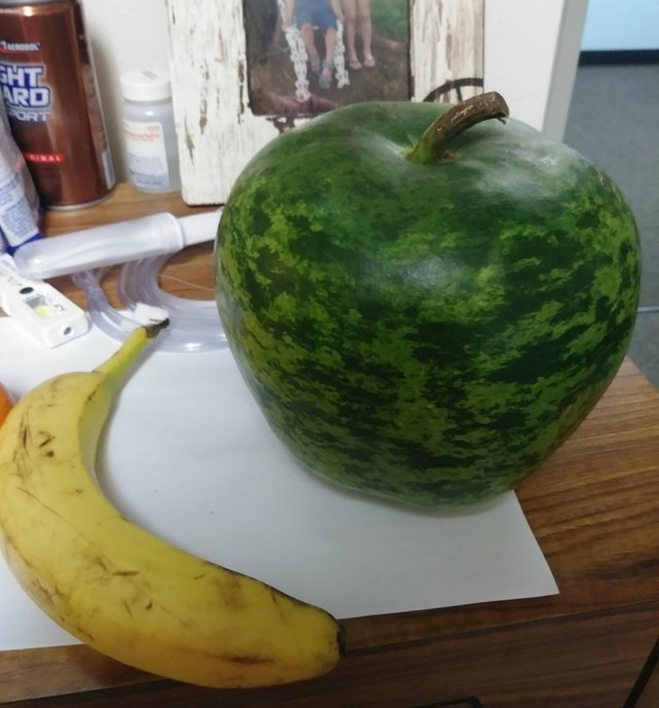 Illustration de l'article : 19 deceptive pictures that show things aren’t always what they seem