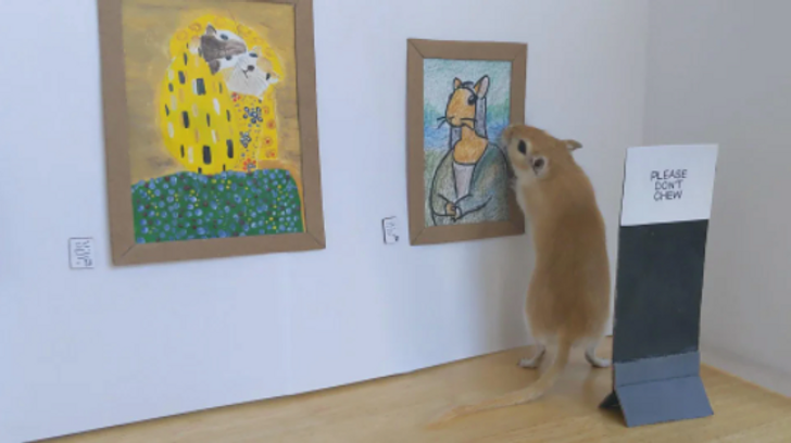 Illustration de l'article : 19 touching photos that show love in action