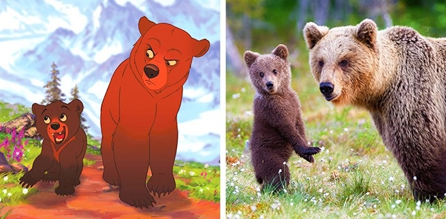 Illustration de l'article : 14 animals that are the exact copies of our favorite cartoon characters