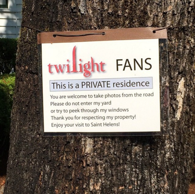 Illustration de l'article : 16 things Twilight fans will remember doing in 2009!