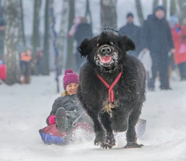 Illustration de l'article : 12 pictures that will make you want to be a kid again