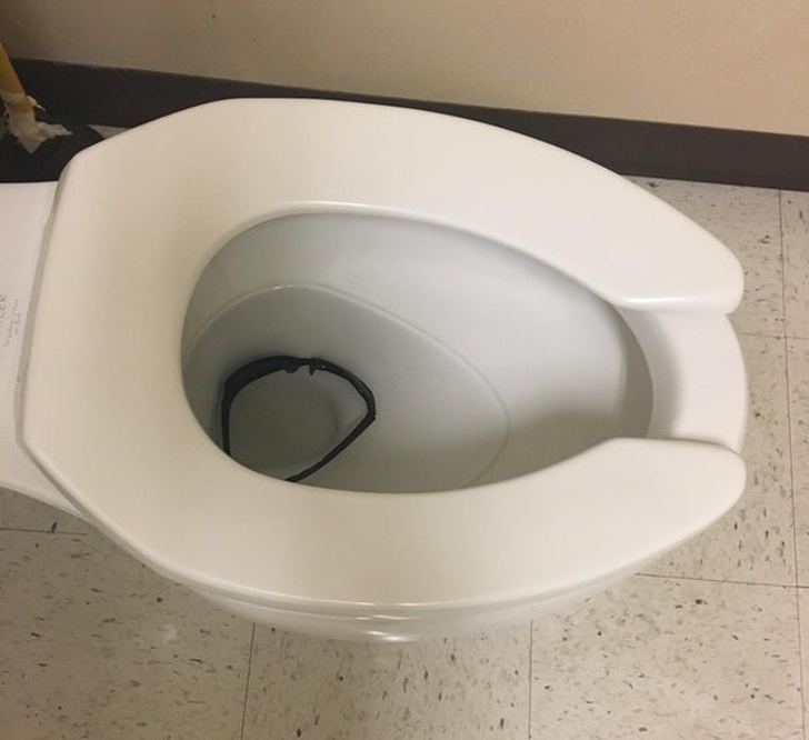 Illustration de l'article : 20 times someone found a mini-disaster on their hands
