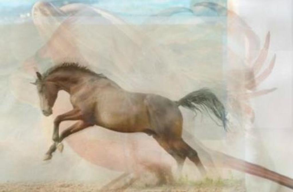 Illustration de l'article : The first thing you see in this picture says a lot about your personality