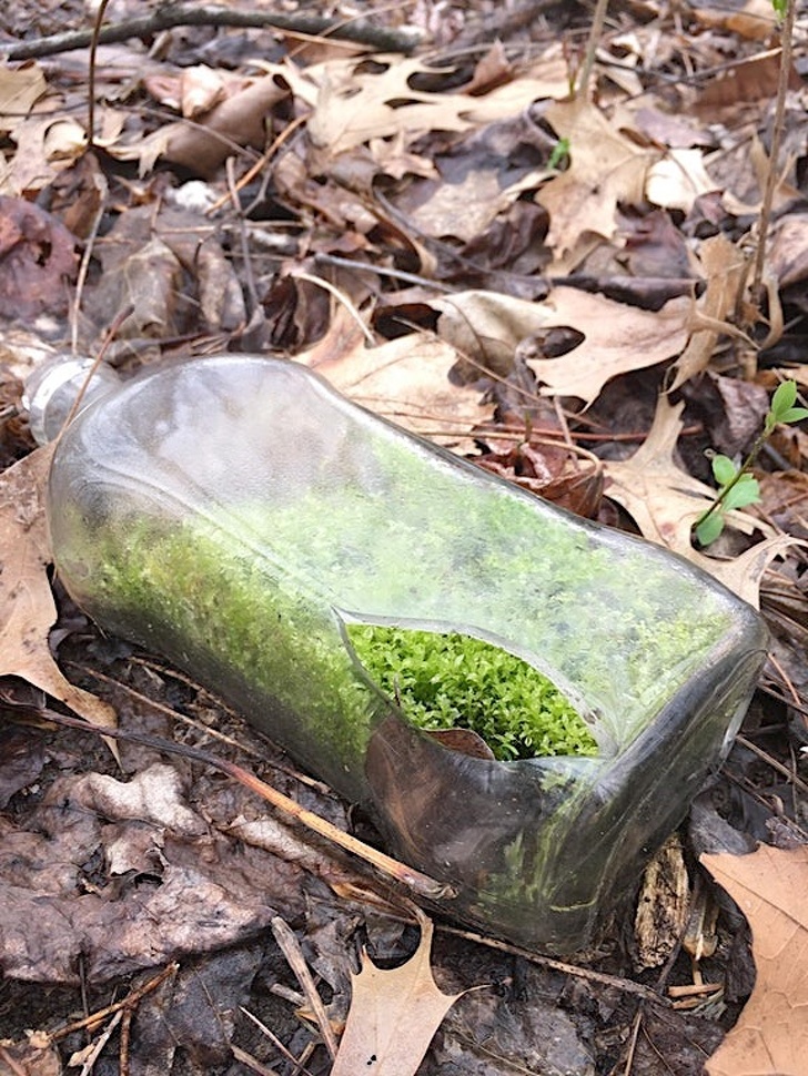 Illustration de l'article : Check out these 21 strange discoveries that deserve a closer look