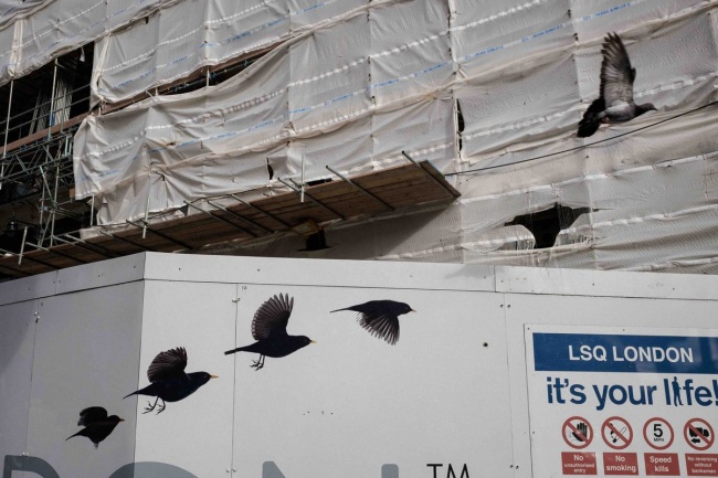 Illustration de l'article : 22 amazing coincidences captured in photos