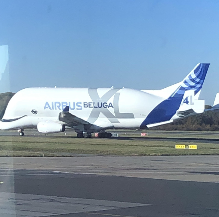 Illustration de l'article : 15 designs that are worth their weight in gold