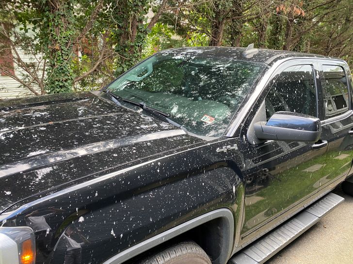 Illustration de l'article : 20 people who snapped and shared a nasty surprise