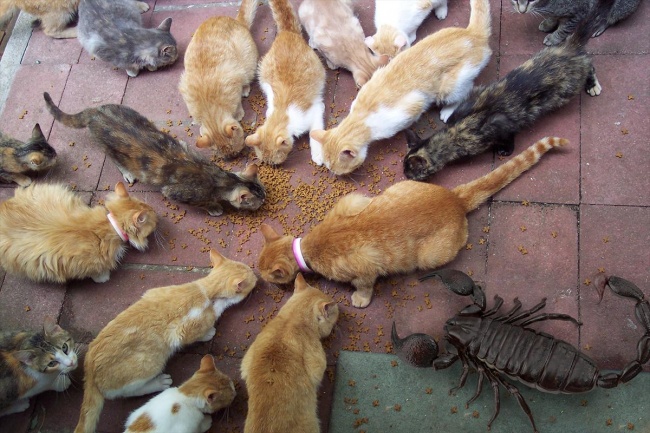 Illustration de l'article : 10 fascinating photos that put the size of gigantic objects into perspective