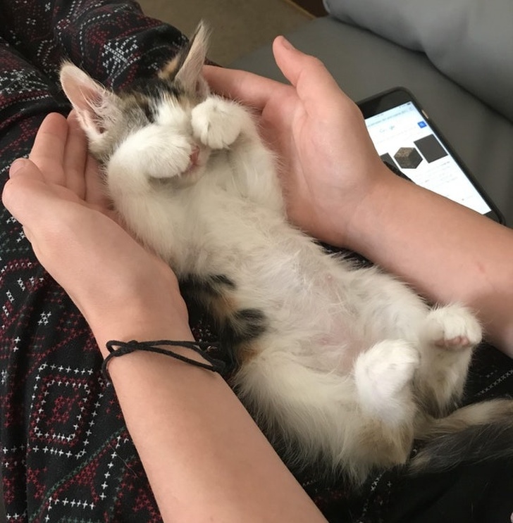 Illustration de l'article : 18 people who snapped and shared a moving moment