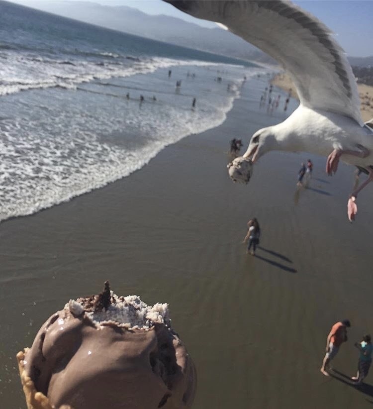 Illustration de l'article : 19 perfectly timed photos