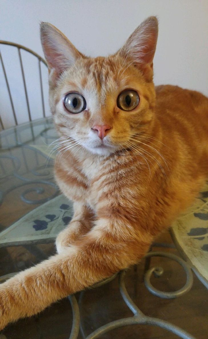 Illustration de l'article : 20 photos that show how marvellous the world around us can be