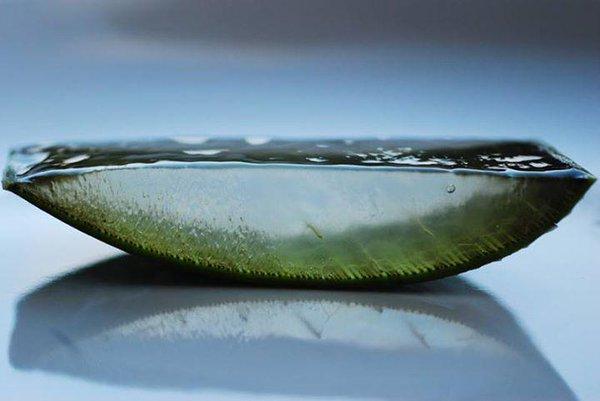 Illustration de l'article : 17 objects that have been cut in half revealing their secrets!