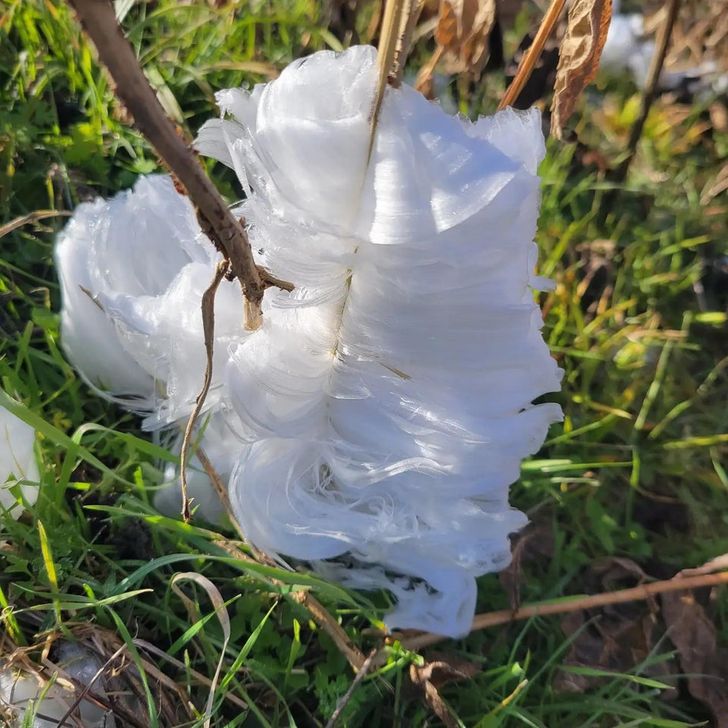 Illustration de l'article : 19 photos of masterpieces in the most unexpected places